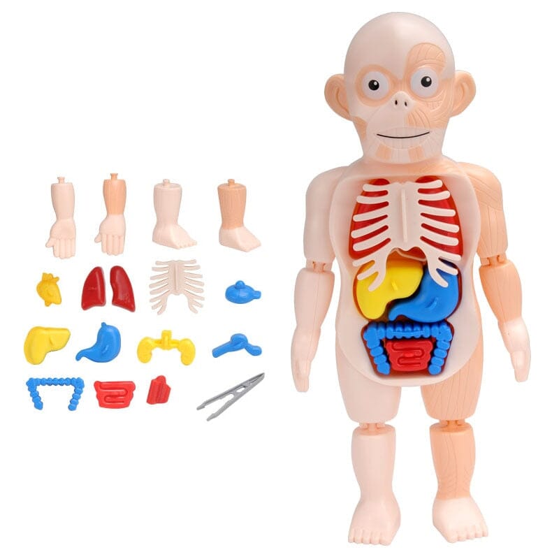 Brinquedo Kit Médico Corpo Humano kids115 cegonhakids 